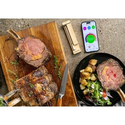 MEATER PRO - vezeték nélküli okos maghőmérő